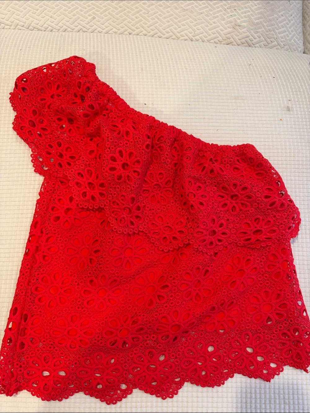 BB Dakota Red One-Shoulder Floral Lace Camisole
